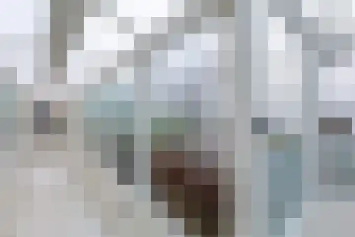 Driekoningenstraat 20 Amsterdam thumbnail 41