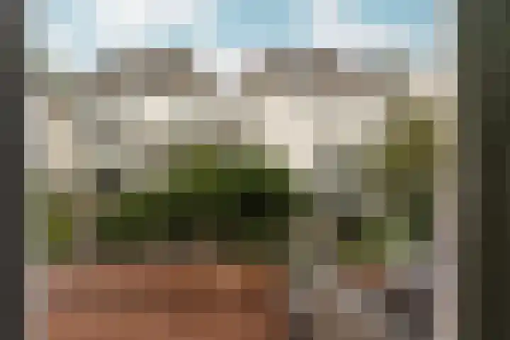 Driekoningenstraat 21 1 Arnhem thumbnail 22