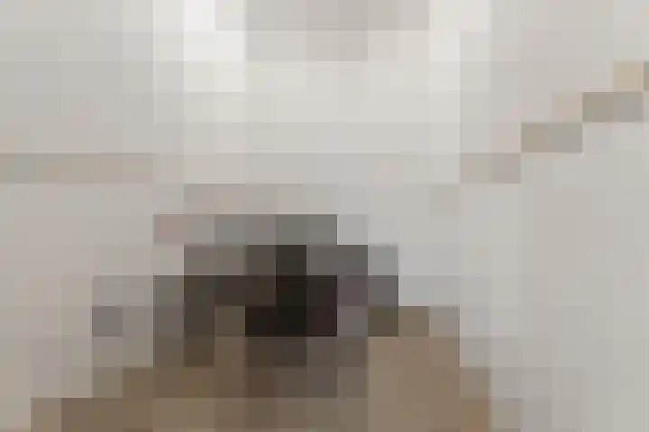 Driekoningenstraat 21 1 Arnhem thumbnail 33