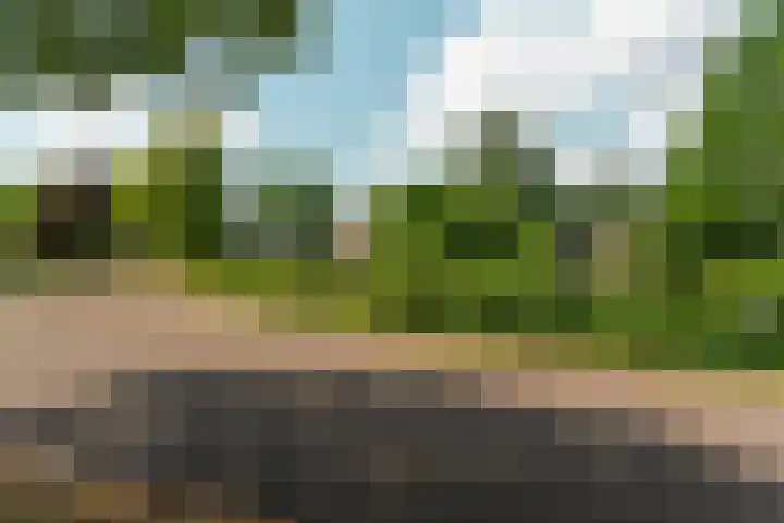 Driekoningenstraat 21 1 Arnhem thumbnail 39