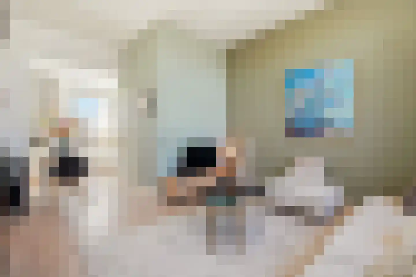 Driekoningenstraat 24 Amsterdam thumbnail 10