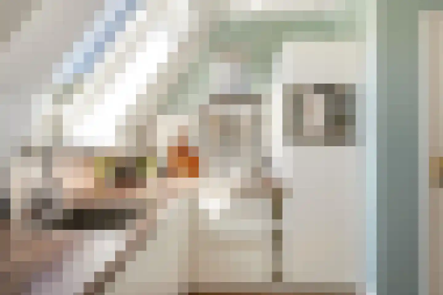 Driekoningenstraat 24 Amsterdam thumbnail 18