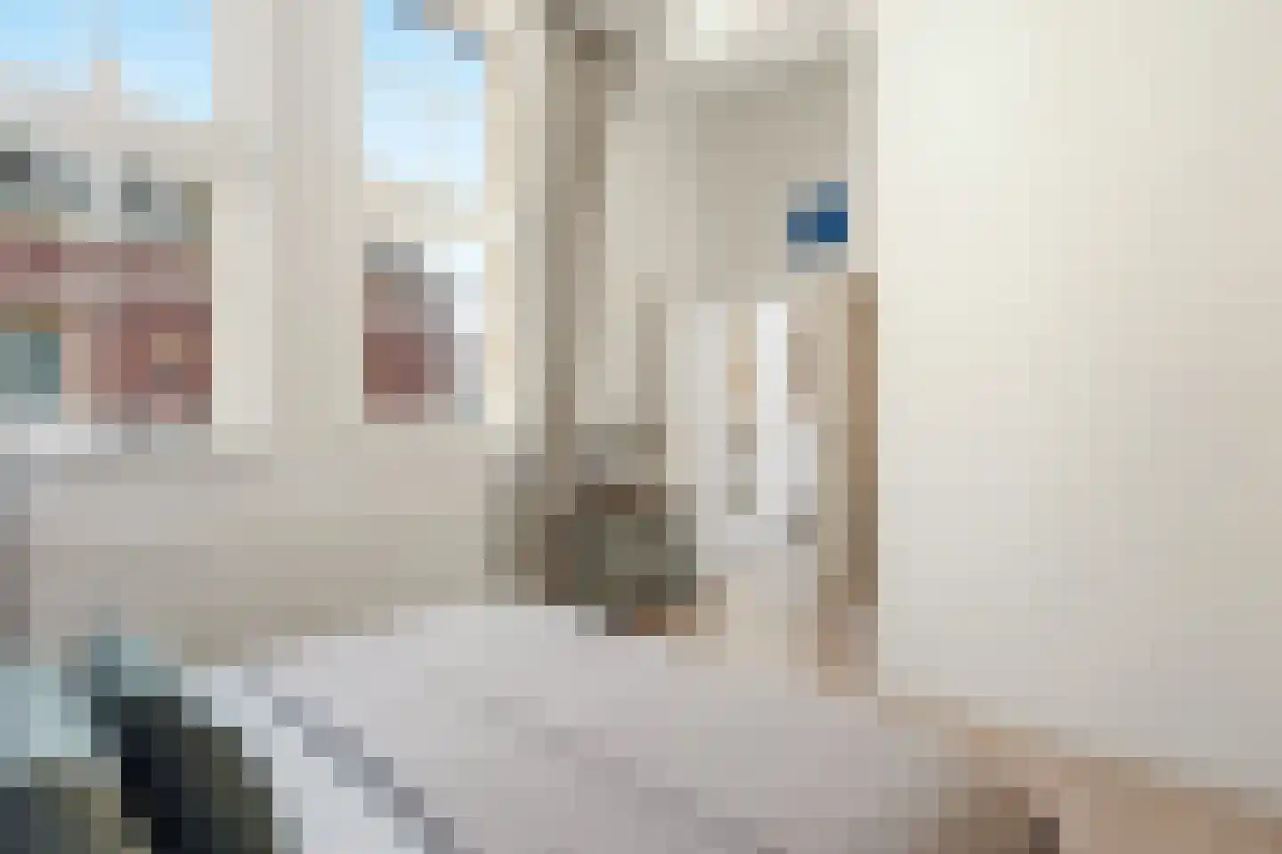 Driekoningenstraat 24 Amsterdam thumbnail 22