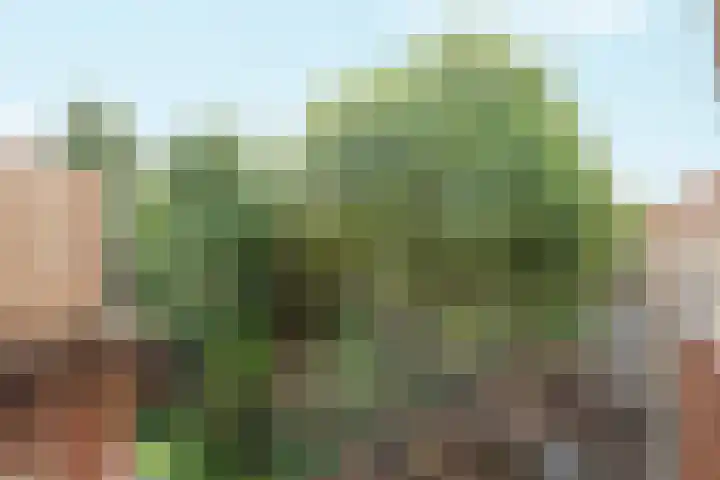 Driekoningenstraat 3 3 Arnhem thumbnail 10