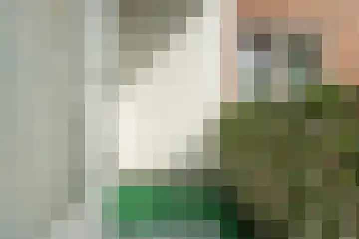 Driekoningenstraat 3 3 Arnhem thumbnail 9