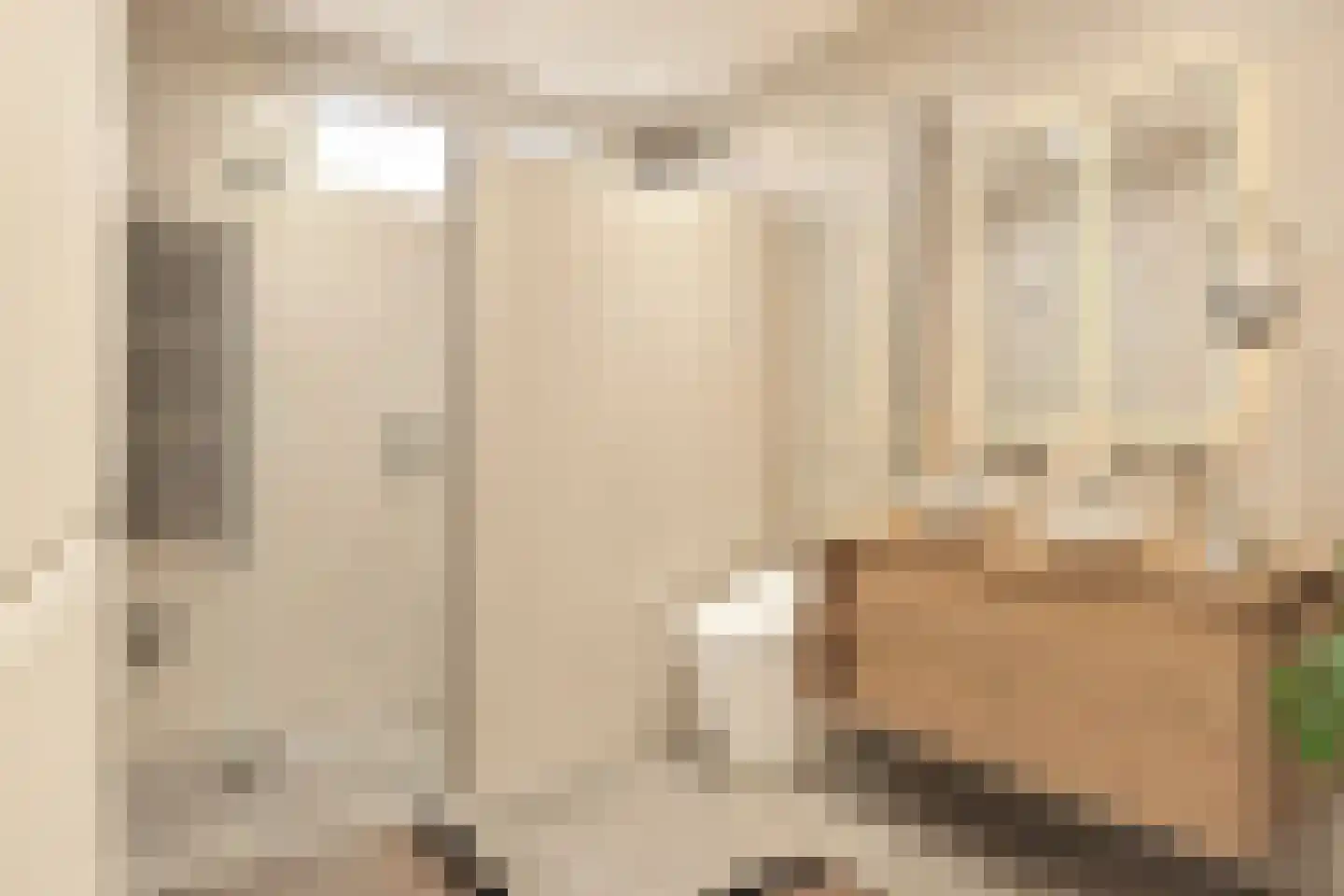 Driekuilenstraat 1 a Elsloo thumbnail 26