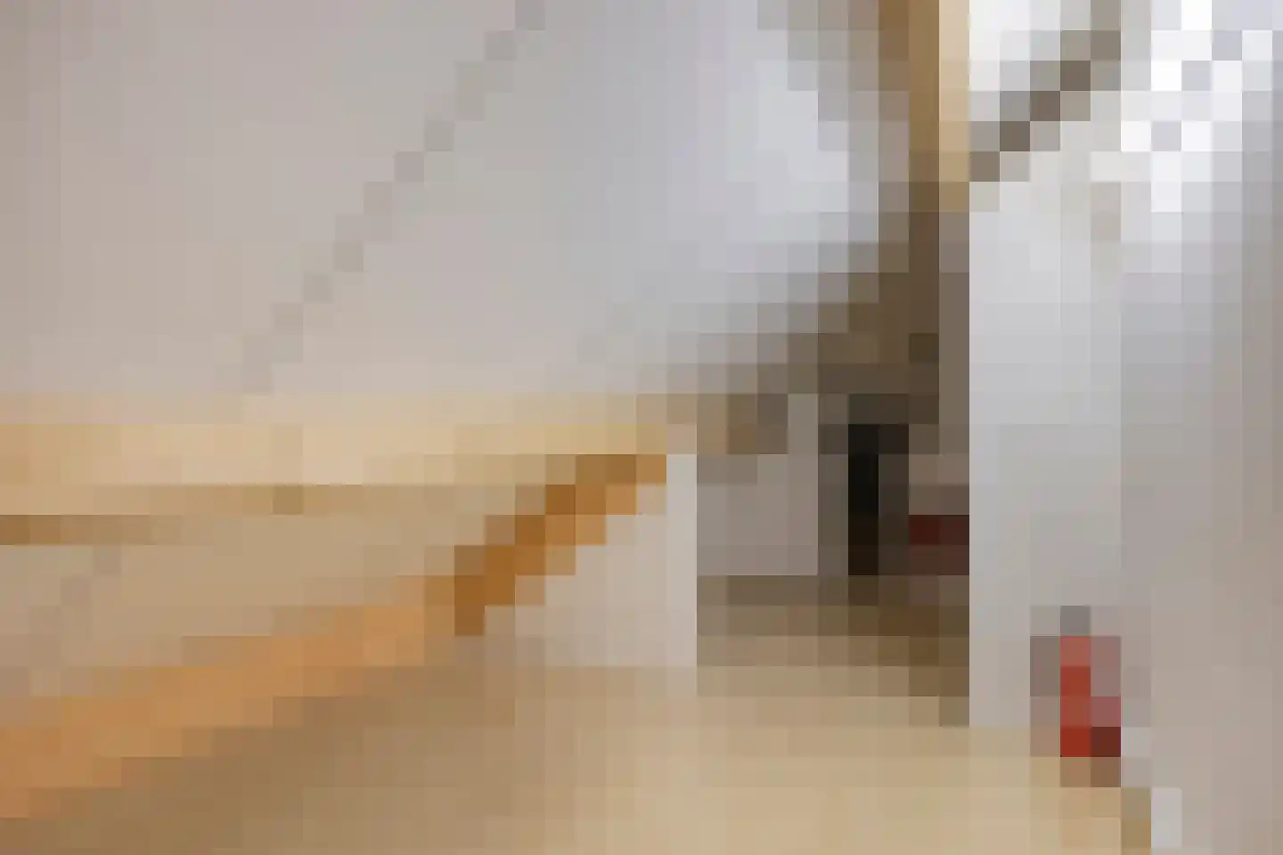 Driekuilenstraat 1 a Elsloo thumbnail 37