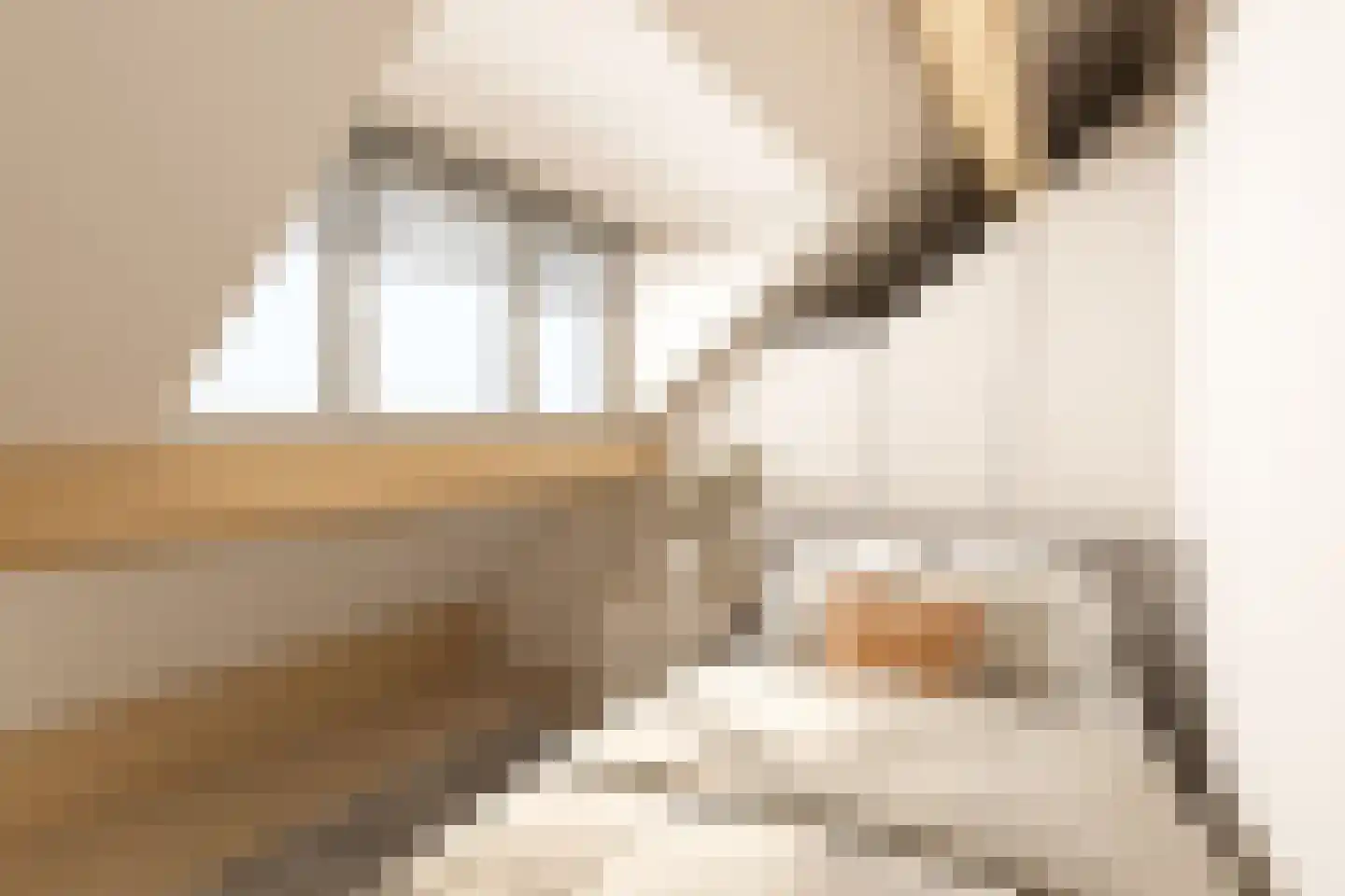 Driekuilenstraat 1 a Elsloo thumbnail 38