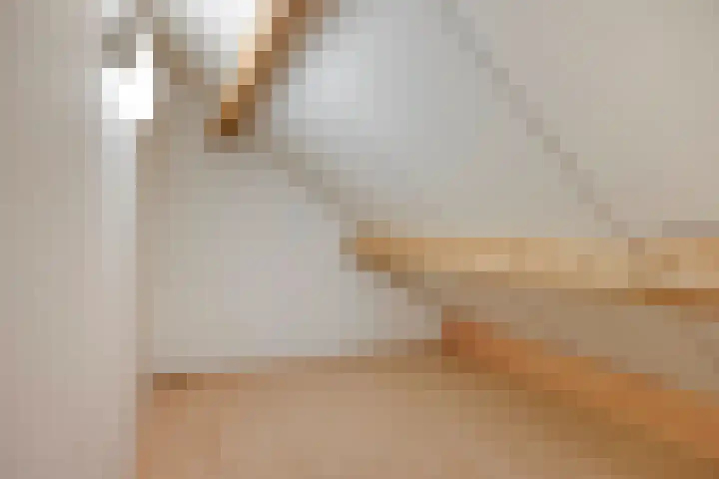 Driekuilenstraat 1 a Elsloo thumbnail 39