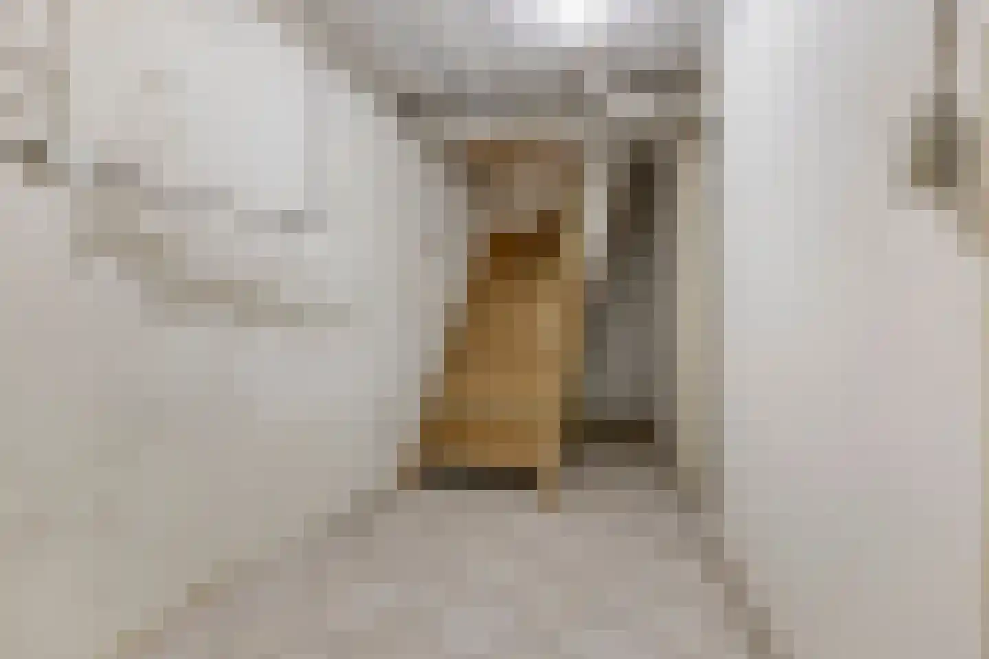 Driekuilenstraat 1 a Elsloo thumbnail 41