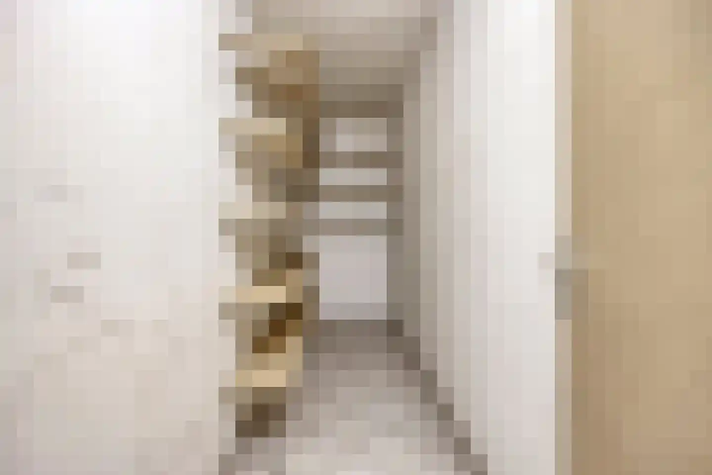 Driekuilenstraat 1 a Elsloo thumbnail 43