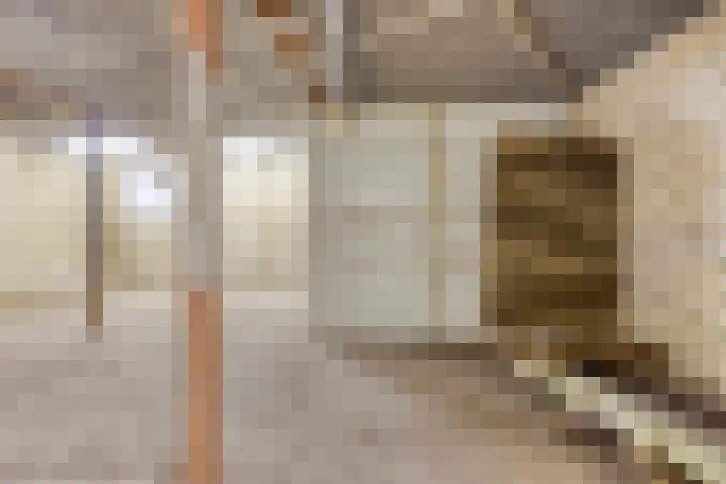 Driekuilenstraat 1 a Elsloo thumbnail 44