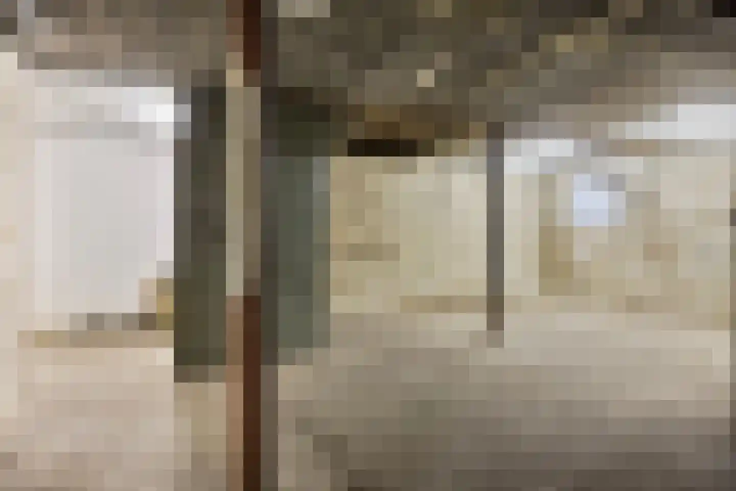 Driekuilenstraat 1 a Elsloo thumbnail 45