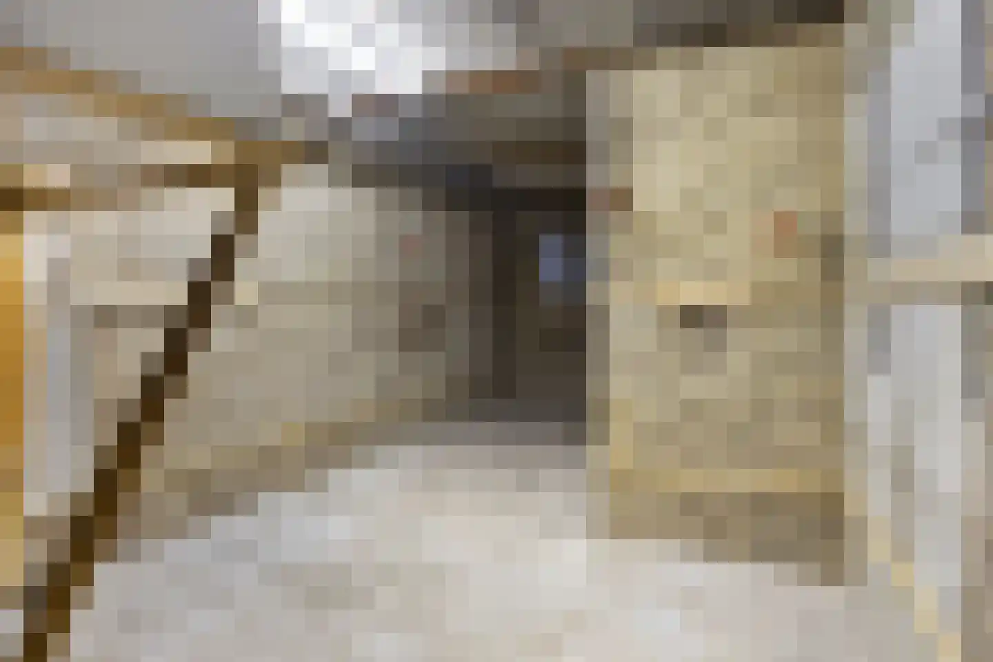 Driekuilenstraat 1 a Elsloo thumbnail 48