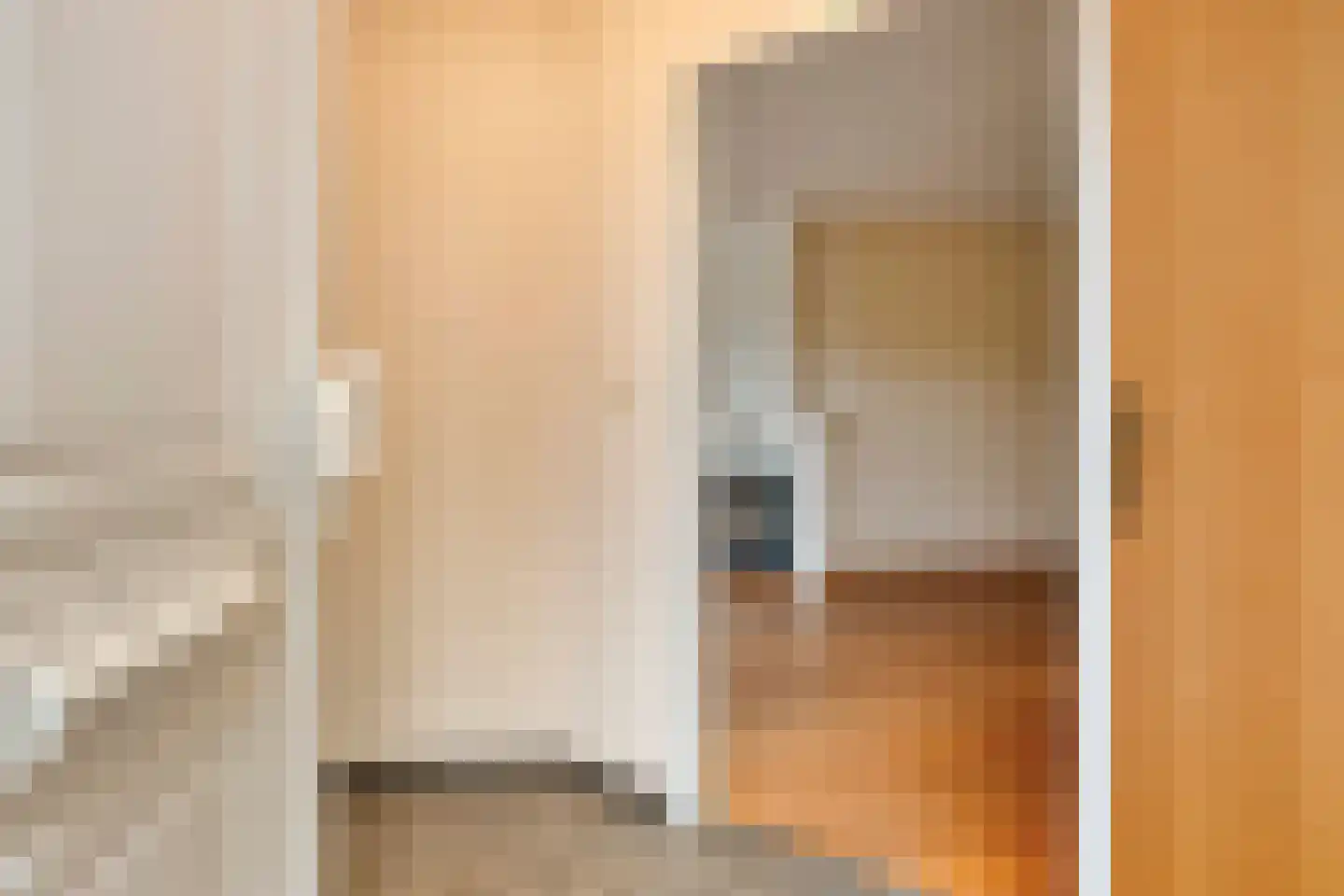 Driekuilenstraat 1 a Elsloo thumbnail 7