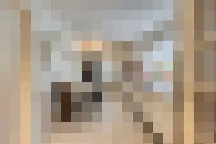 Driekuilenstraat 21 Elsloo thumbnail 18