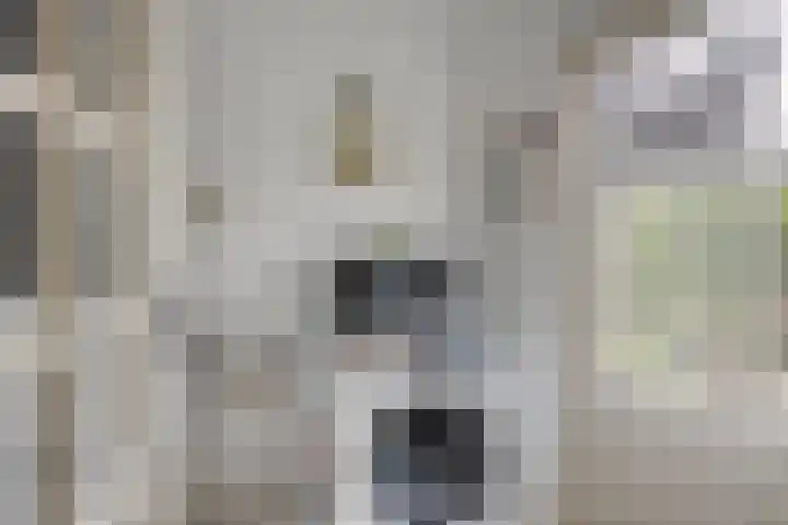 Driekuilenstraat 21 Elsloo thumbnail 20