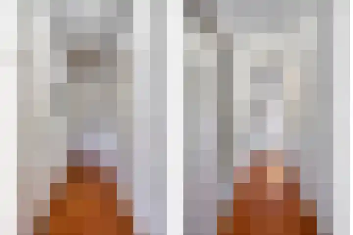 Driekuilenstraat 21 Elsloo thumbnail 21