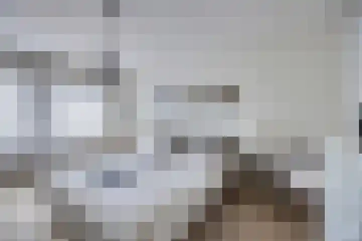 Driekuilenstraat 21 Elsloo thumbnail 22