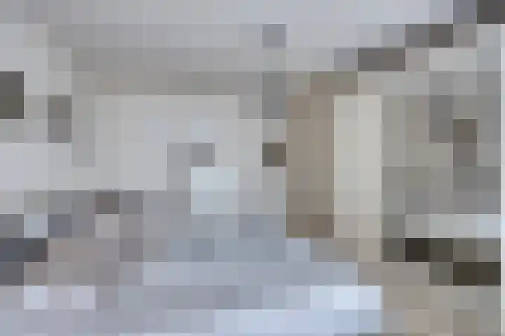 Driekuilenstraat 21 Elsloo thumbnail 24