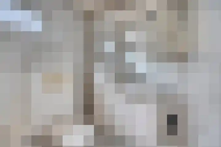 Driekuilenstraat 21 Elsloo thumbnail 25