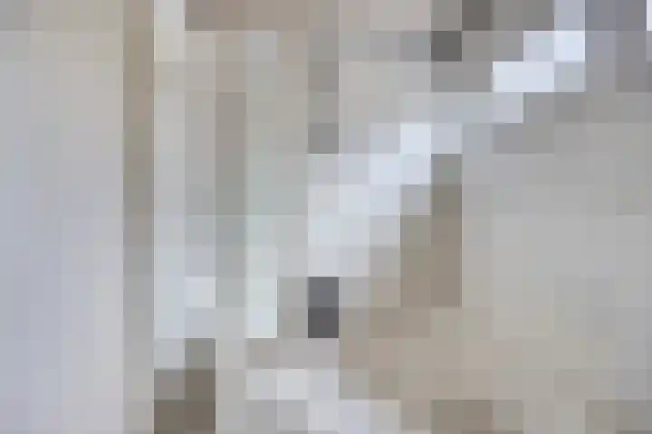 Driekuilenstraat 21 Elsloo thumbnail 26