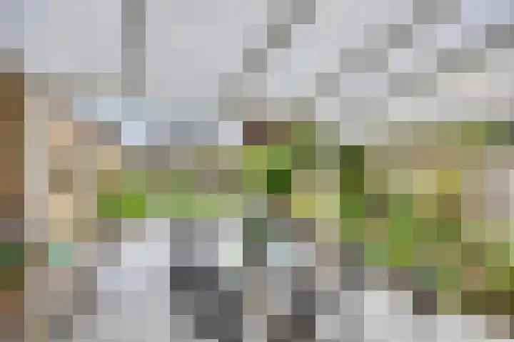 Driekuilenstraat 21 Elsloo thumbnail 31