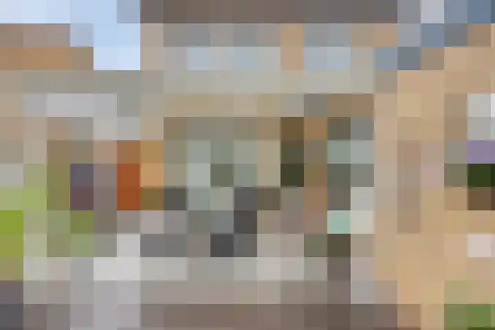 Driekuilenstraat 21 Elsloo thumbnail 32