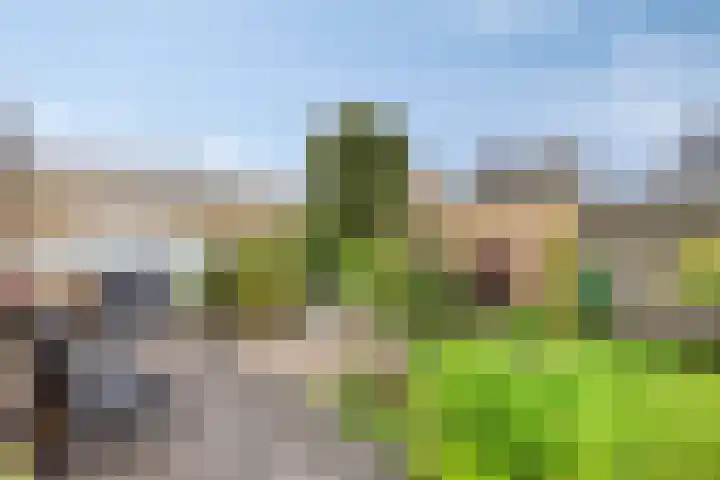 Driekuilenstraat 21 Elsloo thumbnail 34