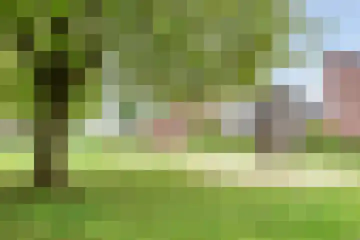 Driekuilenstraat 21 Elsloo thumbnail 35