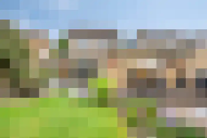 Driekuilenstraat 21 Elsloo thumbnail 5