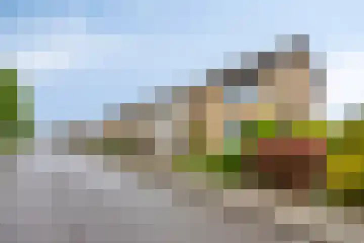 Driekuilenstraat 21 Elsloo thumbnail 7