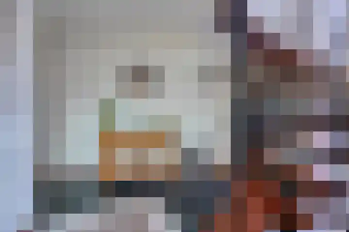 Driekuilenstraat 21 Elsloo thumbnail 9