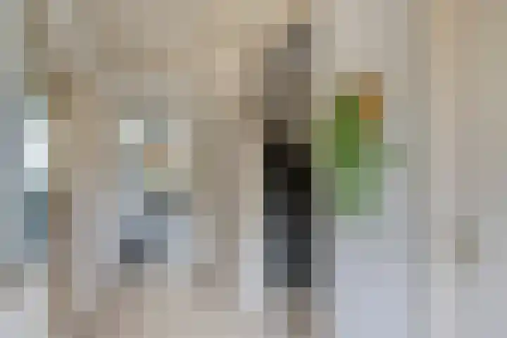 Driekuilenstraat 25 Elsloo thumbnail 14