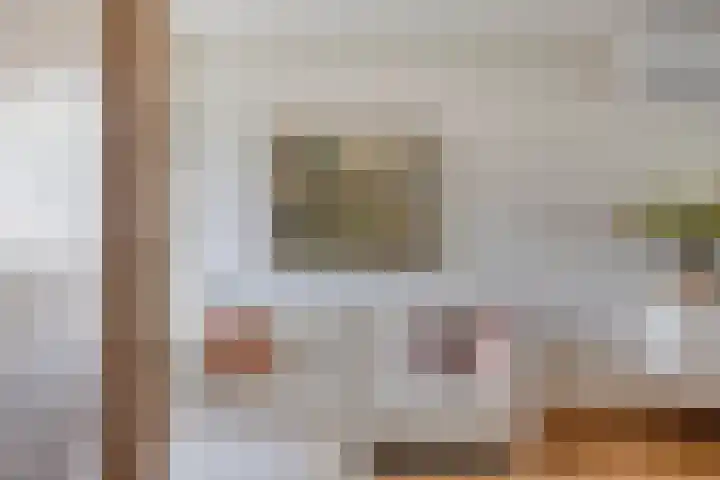 Driekuilenstraat 25 Elsloo thumbnail 15