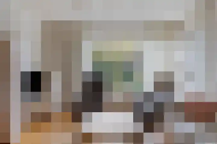 Driekuilenstraat 25 Elsloo thumbnail 16