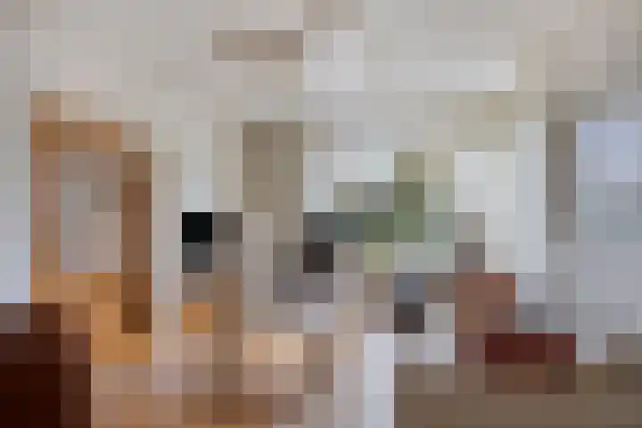 Driekuilenstraat 25 Elsloo thumbnail 17