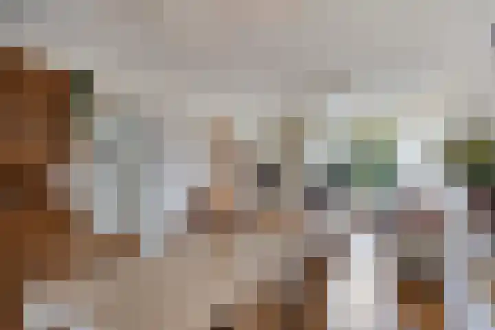 Driekuilenstraat 25 Elsloo thumbnail 18