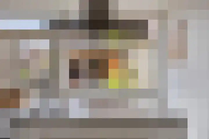 Driekuilenstraat 25 Elsloo thumbnail 21
