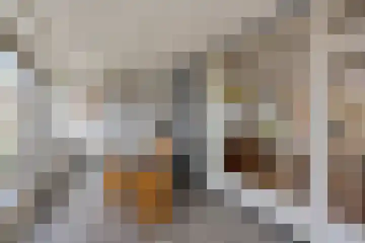 Driekuilenstraat 25 Elsloo thumbnail 22
