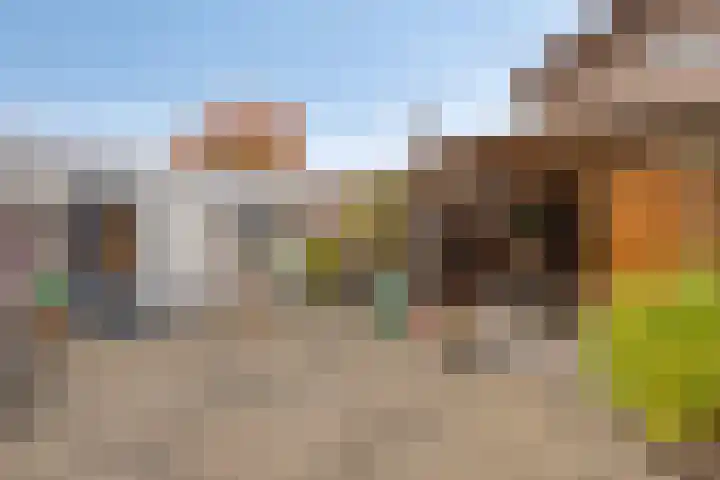 Driekuilenstraat 25 Elsloo thumbnail 24