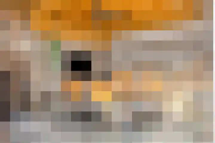 Driekuilenstraat 25 Elsloo thumbnail 25