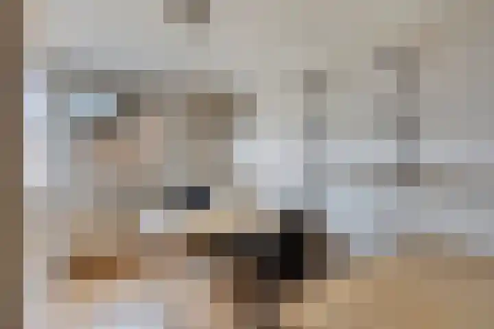 Driekuilenstraat 25 Elsloo thumbnail 30