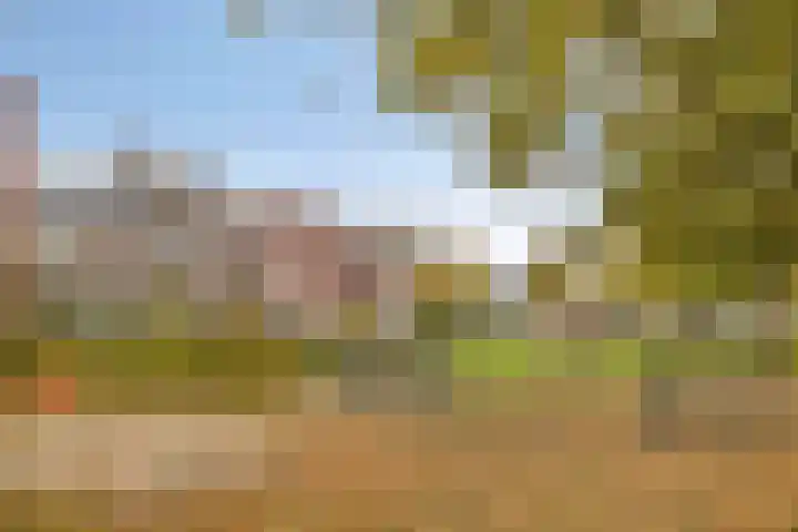 Driekuilenstraat 25 Elsloo thumbnail 37