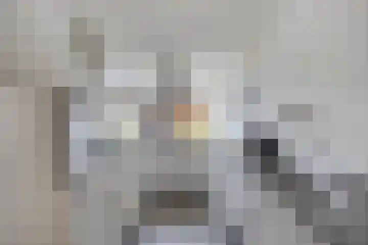 Driekuilenstraat 25 Elsloo thumbnail 4