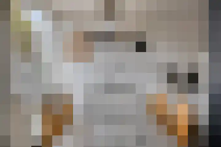 Driekuilenstraat 25 Elsloo thumbnail 5
