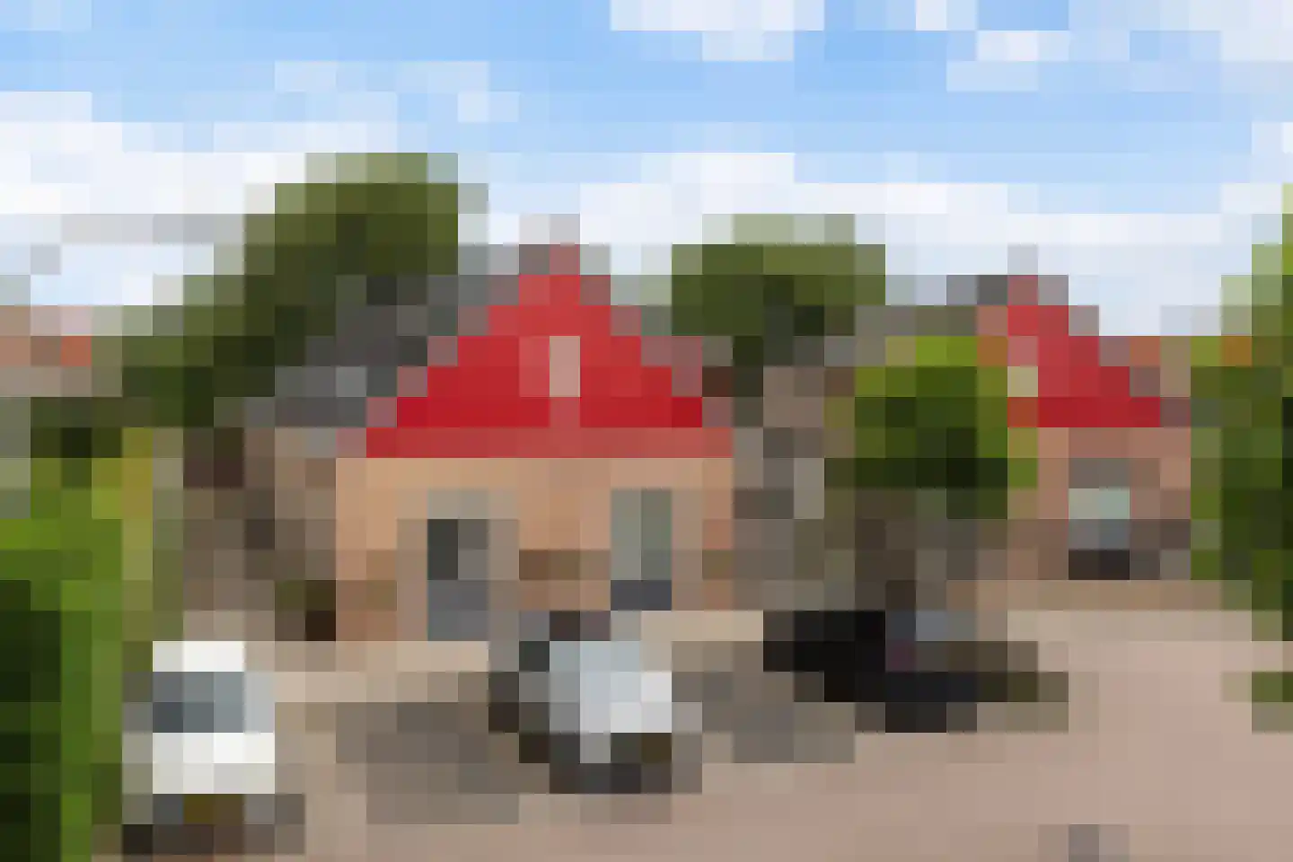 Driekus van der Giessenhof 4 Klaaswaal