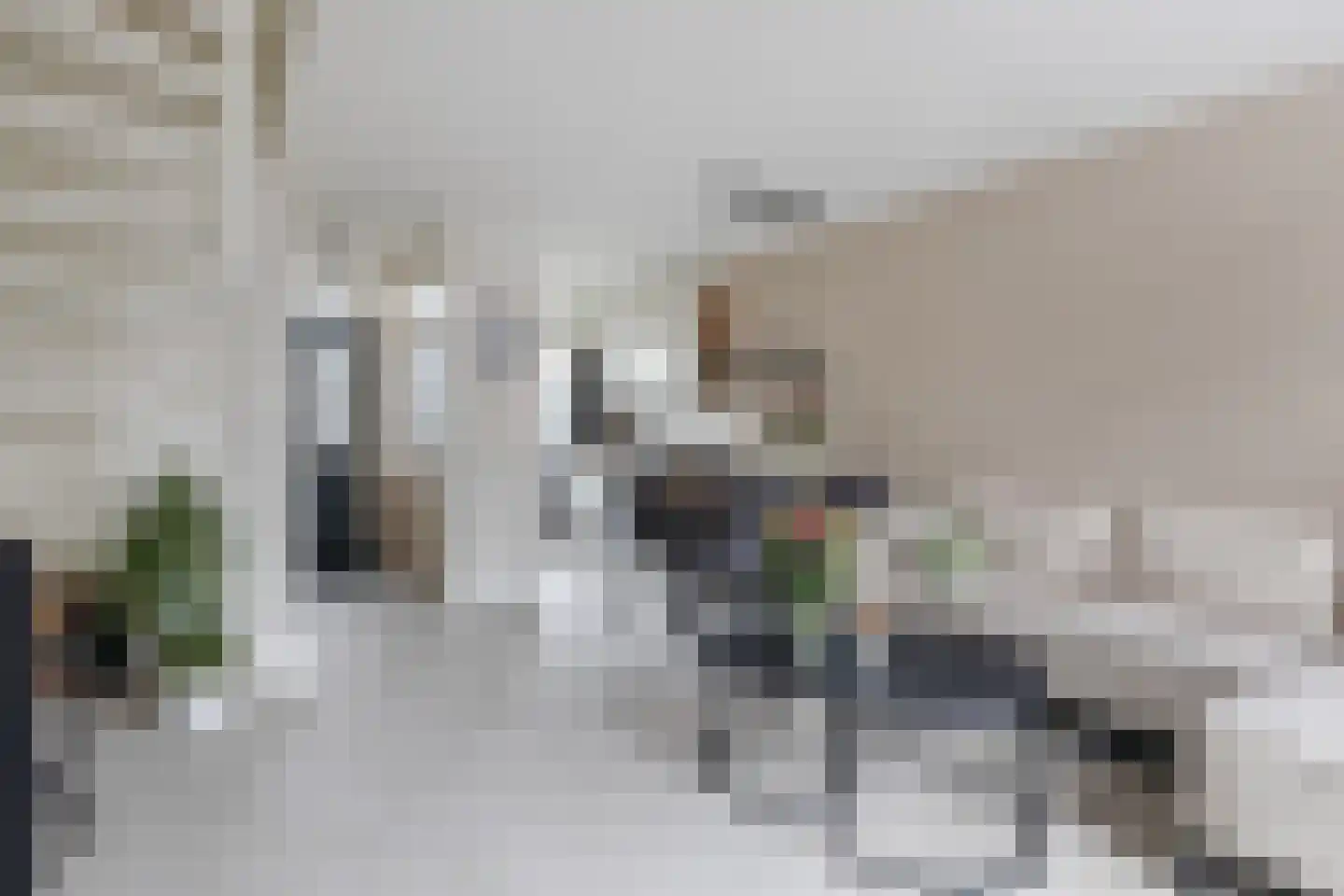 Driekus van der Giessenhof 4 Klaaswaal thumbnail 12