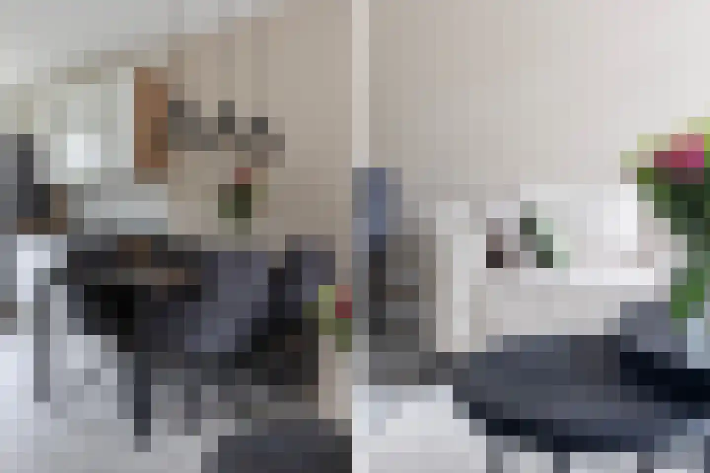 Driekus van der Giessenhof 4 Klaaswaal thumbnail 13