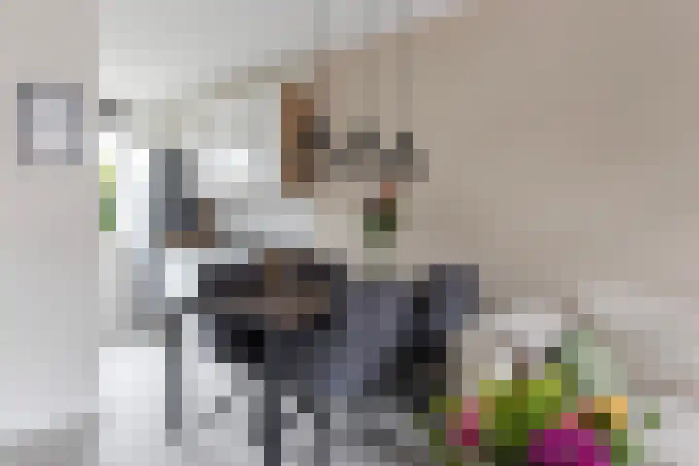 Driekus van der Giessenhof 4 Klaaswaal thumbnail 14